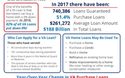 Veterans Affairs Loans by the Numbers