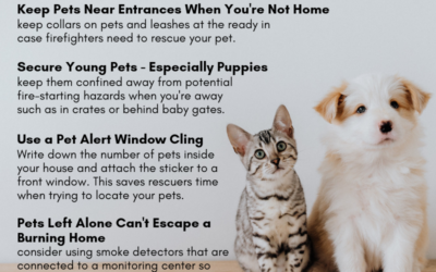 Pet Fire Safety