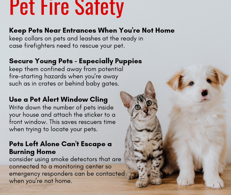 Pet Fire Safety