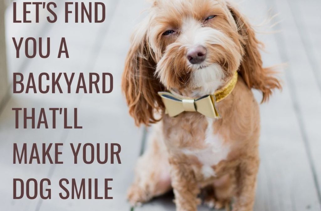 Is Your Dog Smiling?