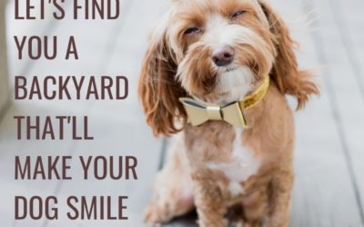 Is Your Dog Smiling?